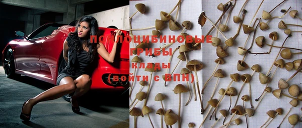 МДПВ Наволоки
