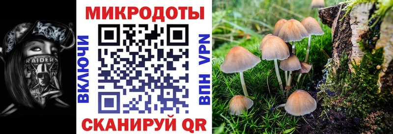 Псилоцибиновые грибы мухоморы  продажа наркотиков  Стерлитамак 