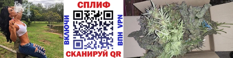 Бошки марихуана марихуана  Стерлитамак 